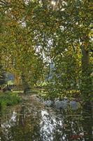 Cjp_2009_10_29_150726 (1)_HDR-D2.jpg